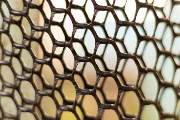 istock Background of plastic net in octagon shape 1162266387