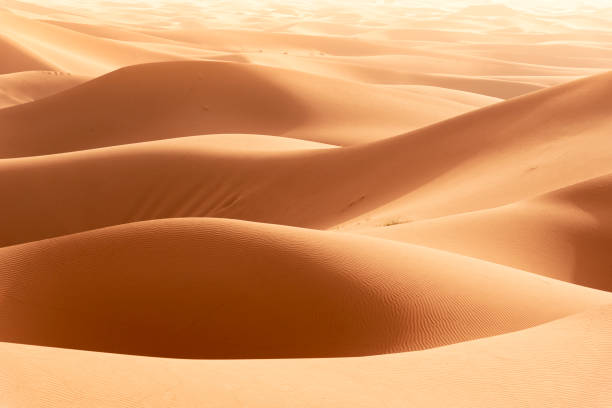 istock Beautiful sand dunes in the Sahara desert. 1162266431