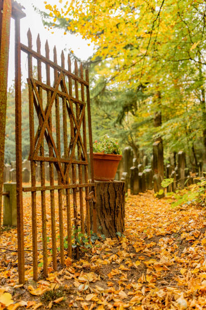 Star of david in the Jewish Cemetery in Hamburg ohlsdorf