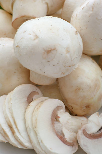 botón de champiñones - vertical meadow mushroom vegetable fotografías e imágenes de stock