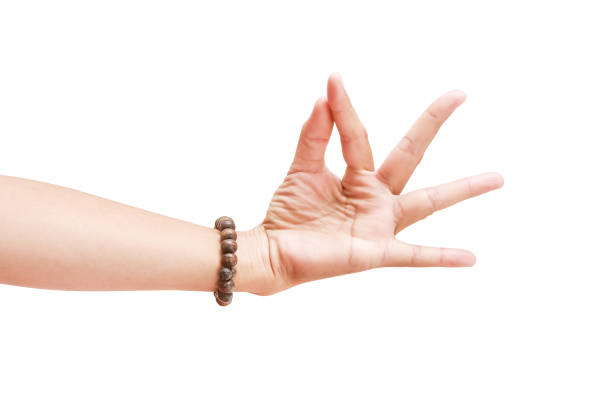 istock woman hand with bracelets isolated on white 1162267291