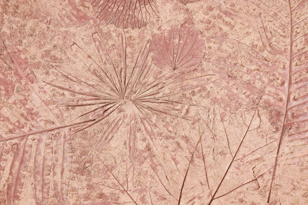 istock marks of leaf on the concrete, leaf background. 1162267420