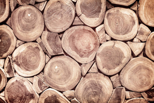 istock grunge wall made by wood logs 1162267425