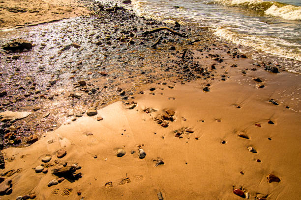 surf of the Balti sea on pebbles