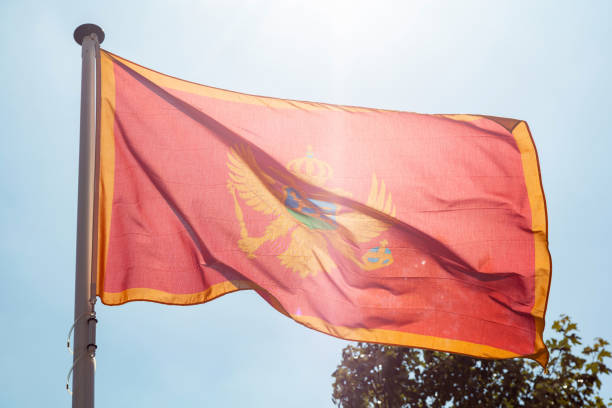 istock Montenegro flag waving against clear blue sky 1162285782