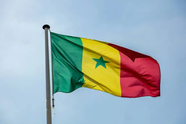 Senegal flag, National symbol waving against clear blue sky, sunny day