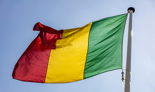 Mali flag, Mali national symbol waving against clear blue sky, sunny day