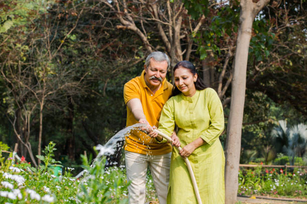 полива растений складе фото - фондовые фотографии - gardening couple senior adult ethnic стоковые фото и изображения