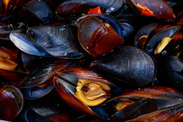istock Fresh mussels at grill pan 1162291493