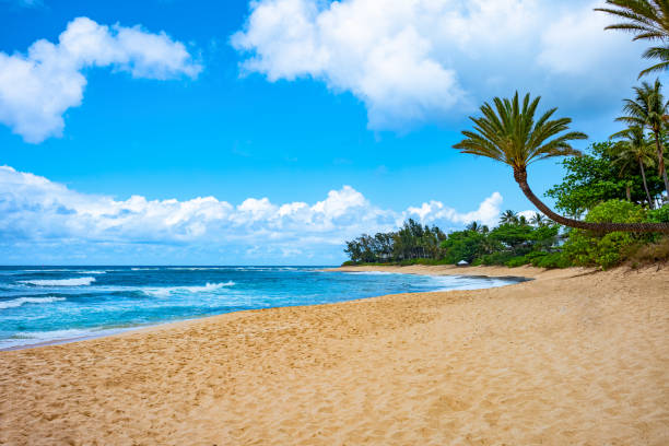 istock Hawaii, nature, history and architecture 1162292622