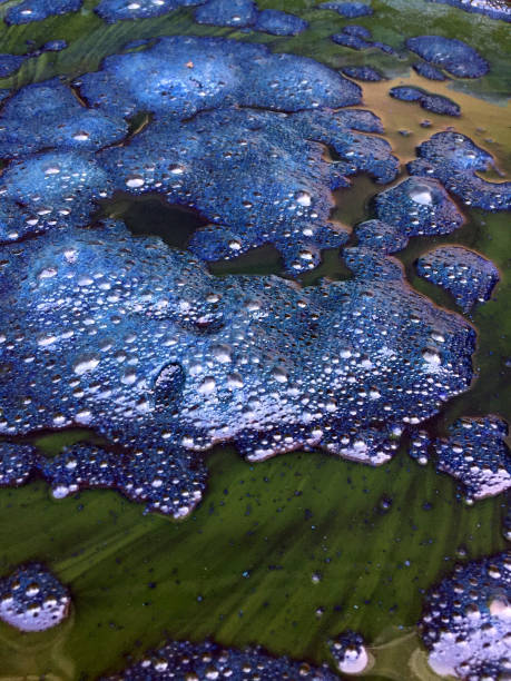 istock Close up , Nature dyeing fabric with indigo water background 1162292887