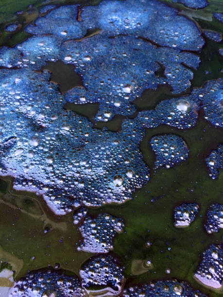 istock Close up , Nature dyeing fabric with indigo water background 1162293030