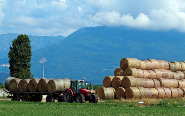 istock Tractor with hay trailer next to a large stack of round hay bale in a plan under the Alps 1162295120