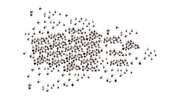 istock a large group of people is walking in one direction - top view 1162295809