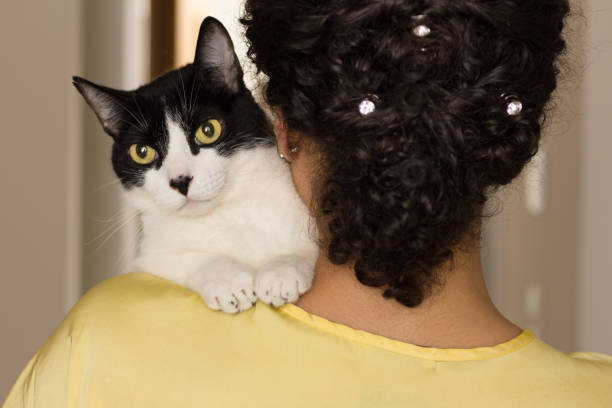 istock Woman With Cat At Home 1162296941