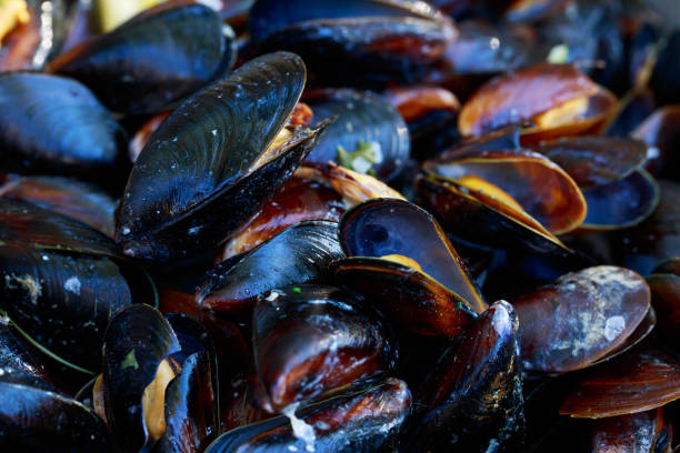 istock Fresh mussels at grill pan 1162296963