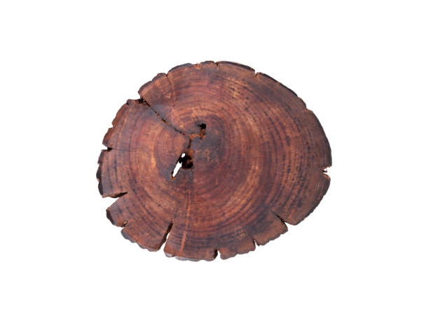 istock Japanese vintage wooden tray 1162302242