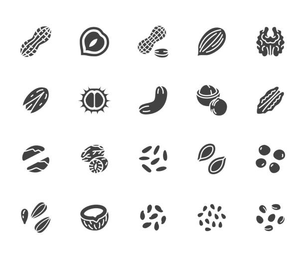 illustrations, cliparts, dessins animés et icônes de ensemble d'icônes de glyphe plat de noix. illustrations vectorielles d'arachide, d'amande, de châtaigne, de macadamia, de noix de cajou, de pistache, de graines de pin. signes pour le magasin d'aliments sains. silhouette pictogram pixel parfait 64x64 - nut spice peanut almond