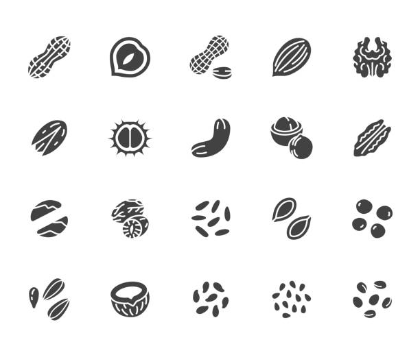 너트 플랫 글리프 아이콘 세트. 땅콩, 아몬드, 밤, 마카다미아, 캐슈, 피스타치오, 소나무 씨앗 벡터 일러스트레이션. 건강한 식품 가게에 대한 징후. 실루엣 픽토그램 픽셀 퍼펙트 64x64 - nut spice peanut almond stock illustrations