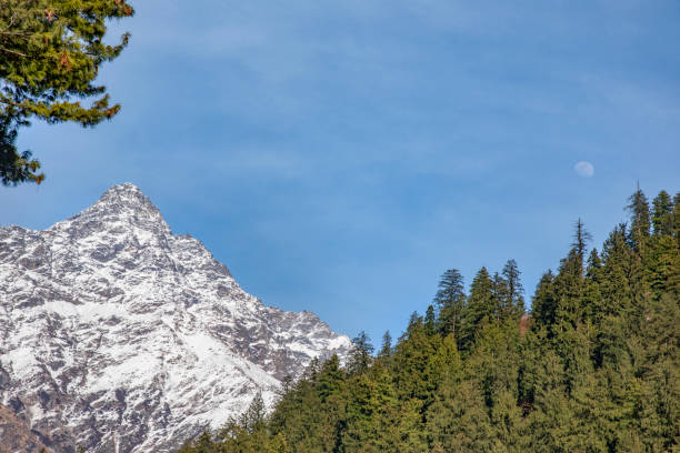 snow and green mountain