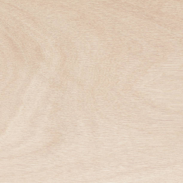 superficie de madera contrachapada en patrón natural con alta resolución. fondo de textura de grano de madera. - plywood wood grain panel birch fotografías e imágenes de stock