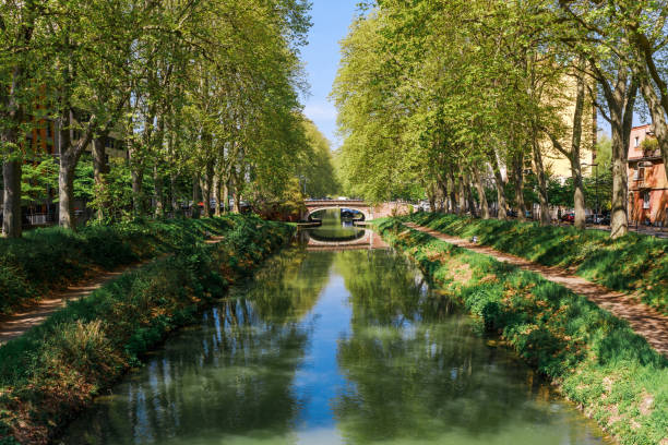 french ancient town toulouse and garonne river panoramic view. toulouse is the capital of haute garonne department and occitanie region, france, south europe. famous city and tourist destionation. - people cemetery church urban scene imagens e fotografias de stock