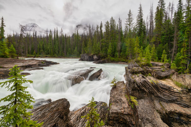istock Gray cloudy day at waterfall in Alberta Canada 1162328736