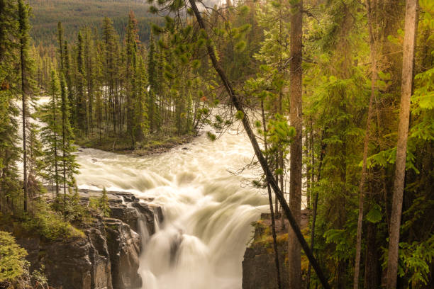 istock Sunwapta Falls  Alberta Canada Jasper National Park 1162329722