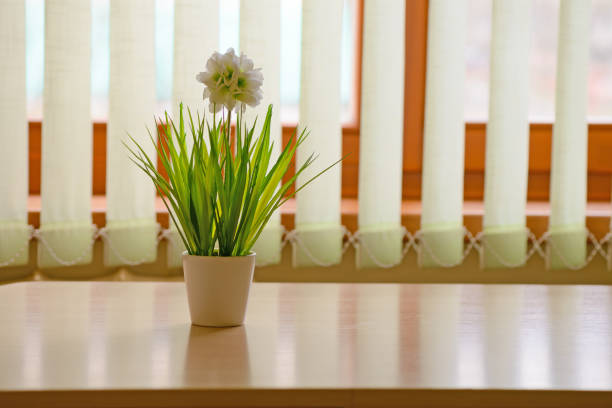 Berlin (West), Germany, 1975. Large vase with orchid branches at a living room window.