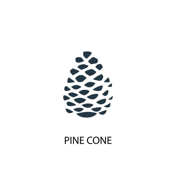 illustrations, cliparts, dessins animés et icônes de icône créative de cone de pin. illustration simple d'élément. conception de symbole de concept de cône de pin de la collection d'automne. peut être utilisé pour le web et mobile. - pomme de pin