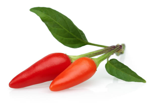 istock Red peppers and leaves isolated 1162334096