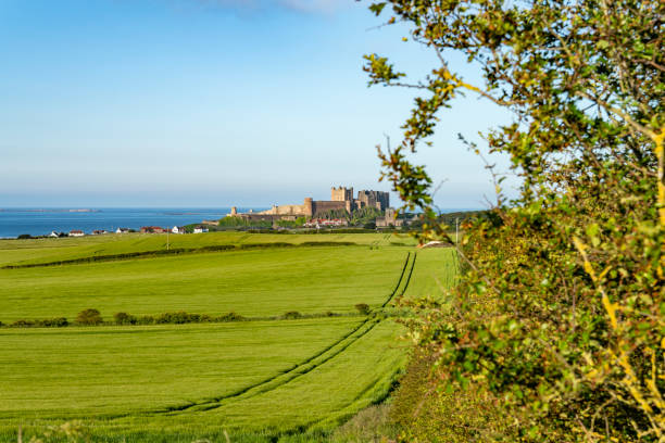 밤버그 타운 - bamburgh bamburgh castle sand dune history 뉴스 사진 이미지