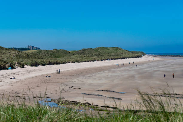 노스 선덜랜드 비치 - bamburgh bamburgh castle sand dune history 뉴스 사진 이미지