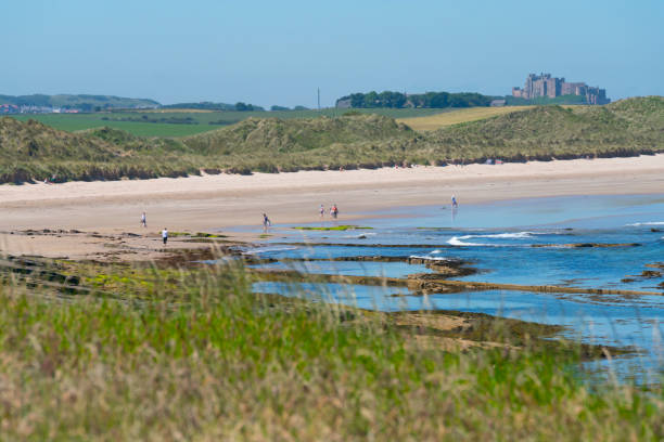 노스 선덜랜드 비치 - bamburgh bamburgh castle sand dune history 뉴스 사진 이미지