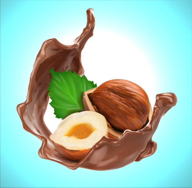 Chocolate splash with hazelnut. Design element. Vector relistichesky illustration on a blue background. Chocolate splash with hazelnut. Design element. Vector relistichesky illustration on a blue background. hazelnut stock illustrations