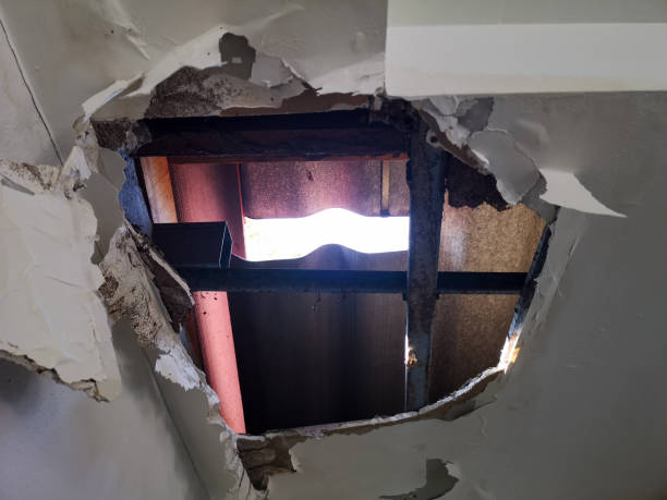 duży otwór w dachu powodujący zawalenie się sufitu - roof leak zdjęcia i obrazy z banku zdjęć
