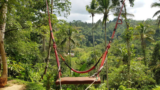 istock Swing in a forest in Bali, Indonesia 1162342736