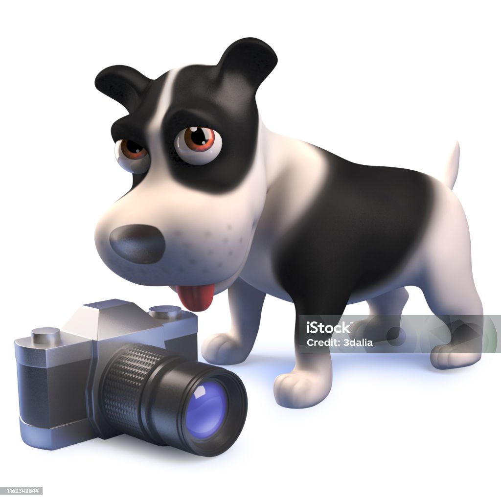 Nhân Vật Chó Con Hoạt Hình Trong 3d Nhìn Vào Máy Ảnh Hình ảnh Sẵn ...