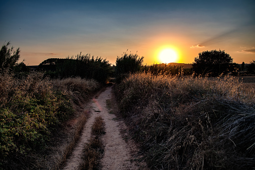 A summer sunset in the cereal fields around Barcelona in Spain.