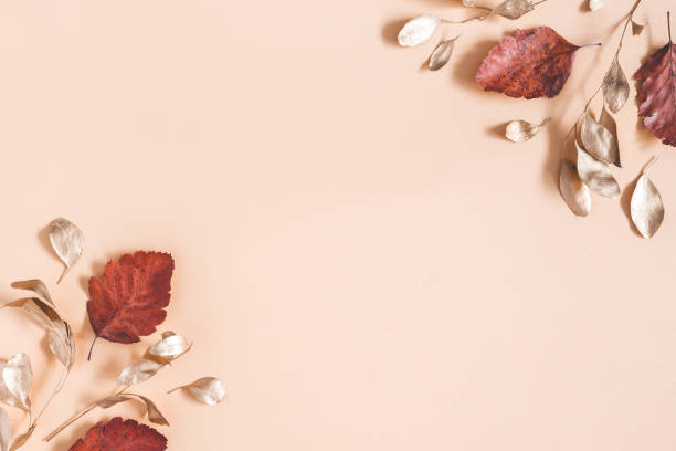 istock Autumn composition. Golden eucalyptus leaves on beige background. Autumn, fall concept. Flat lay, top view, copy space 1162345103