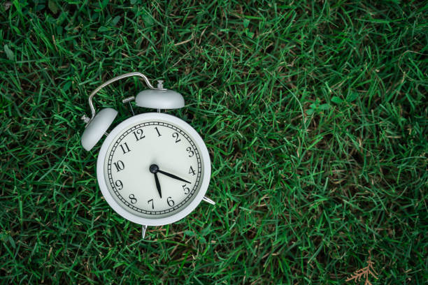 Alarm Clock On The Lawn