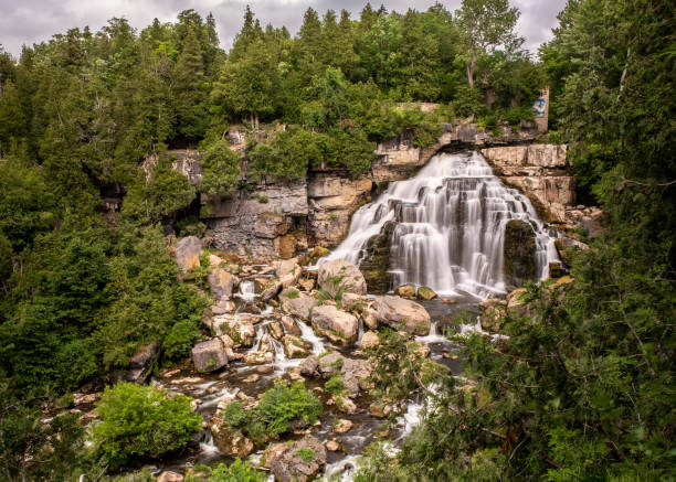 landschaft der inglis falls - scarp stock-fotos und bilder