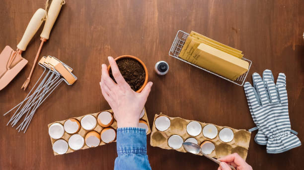 istock Mother and daughter starting seeds in eggshells for Spring planting. 1162347531