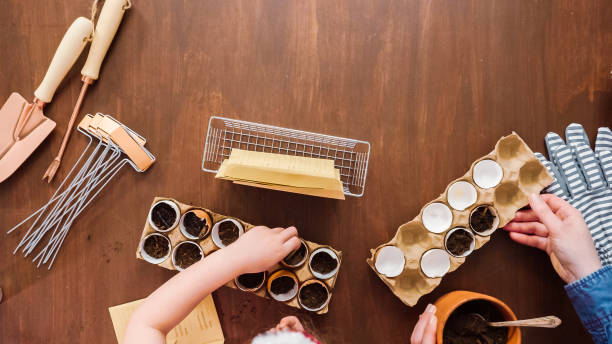 istock Mother and daughter starting seeds in eggshells for Spring planting. 1162348581