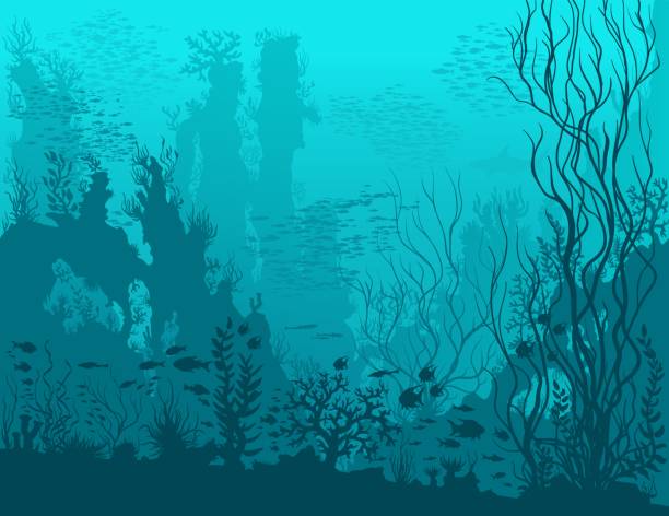 illustrazioni stock, clip art, cartoni animati e icone di tendenza di paesaggio sottomarino blu - mondo marino