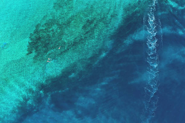 istock Father and son snorkels through tropical, turquoise waters, aerial view 1162349827