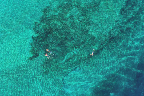 istock Father and son snorkels through tropical, turquoise waters, aerial view 1162349839