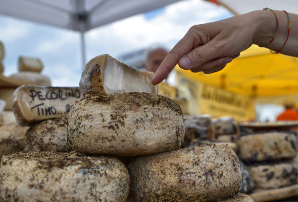 gewürzte tonstoffe und typisch piemontesische käsesorten - piedmont cheese homemade italy stock-fotos und bilder