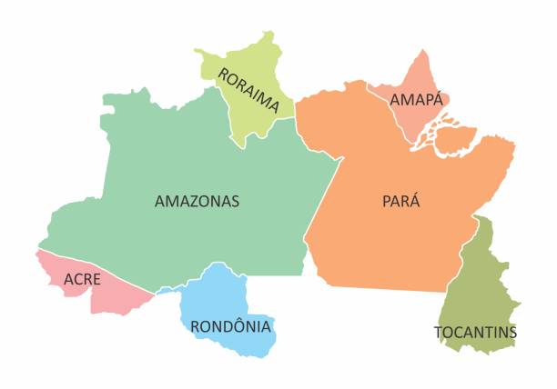 brazylia północna region - amazonas state obrazy stock illustrations