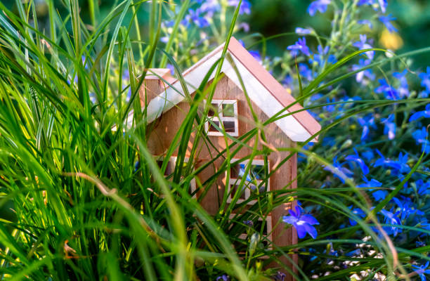 istock Wooden house out in the open 1162352060